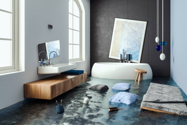 Best Water damage restoration insurance claims  in Franklin, TX