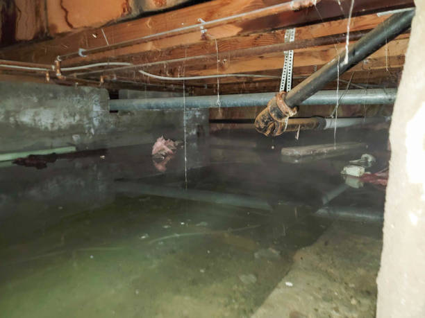 Best Water damage restoration near me  in Franklin, TX