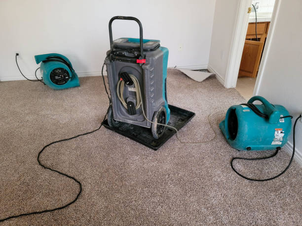 Trusted Franklin, TX Water damage restoration Experts