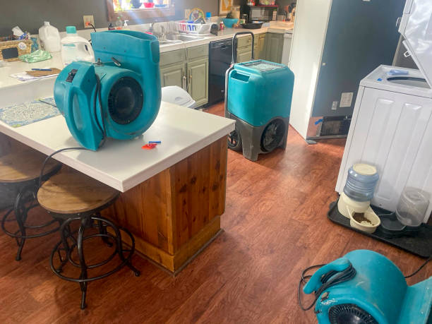 Best Emergency water damage restoration  in Franklin, TX