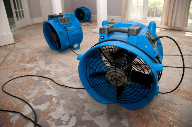 Best Water damage contractors near me  in Franklin, TX