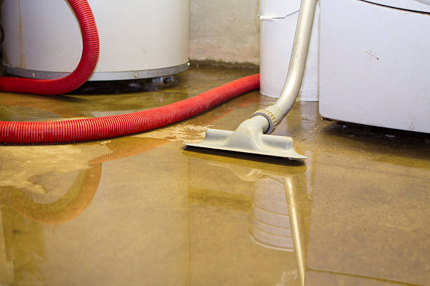 Best Flood damage cleanup  in Franklin, TX