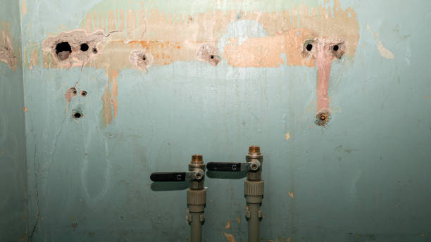 Best Water damage restoration near me  in Franklin, TX
