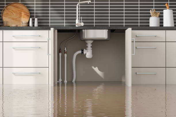 Best Local water damage restoration  in Franklin, TX