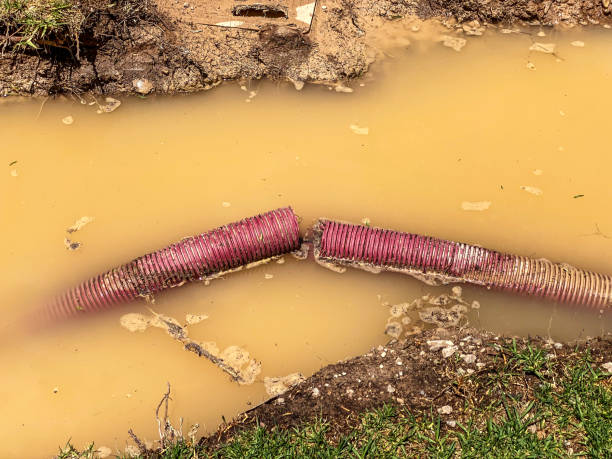 Best 24-hour water damage restoration  in Franklin, TX