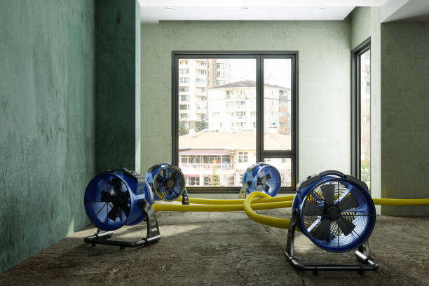  Franklin, TX Water damage restoration Pros