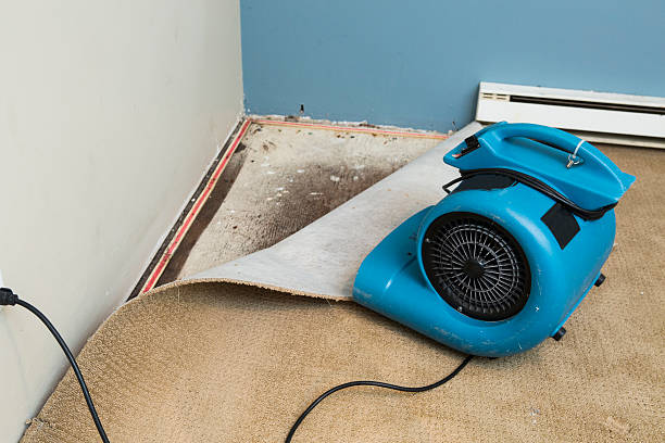 Water damage restoration experts in Franklin, TX